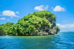 From Samana: Los Haitises Boat and Walking Tour with Lunch