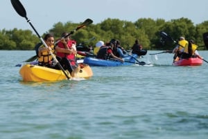 Desde Samaná: caminata por Los Haitises, paseo en barco y kayak