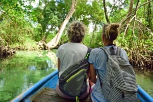 From Samana: Los Haitises Hike, Boat Trip, and Kayaking