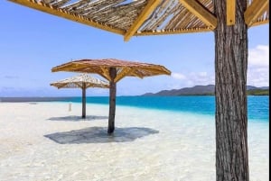 A partir de Santo Domingo: Ilha Cabra e banco de areia Grand Gossier