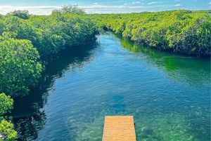 Fra Santo Domingo: Isla Cabra og Grand Gossier Sandbank