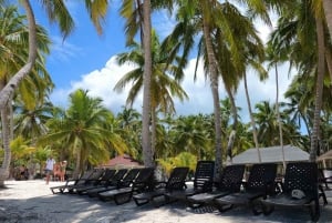 From Santo Domingo: Saona Island Catamaran and Speedboat