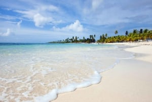 From Santo Domingo: Saona Island Day Trip with Lunch