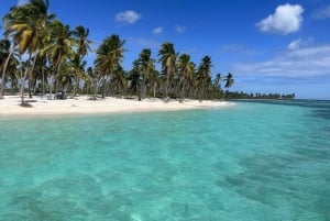 From Santo Domingo: Saona Island Day Trip with Lunch