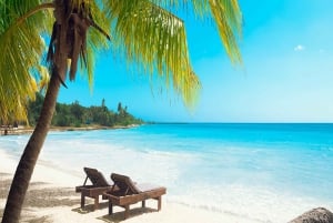 From Santo Domingo: Saona Island Day Trip with Lunch