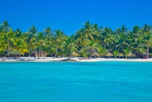 Från Santo Domingo: Dagsutflykt till ön Saona med lunch och drinkar