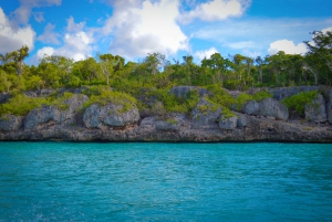 Fra Santo Domingo: Dagstur til Saona Island m/ lunsj og drikke