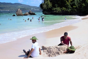 Au départ de Santo Domingo : Observation des baleines et Cayo Levantado