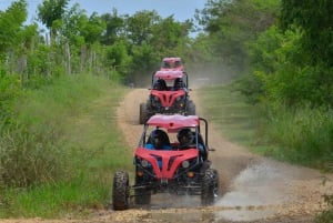 Full day buggy Safari with lunch and Chavon River Tour
