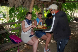 Full day buggy Safari with lunch and Chavon River Tour
