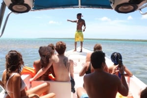 Punta Cana: Día completo en la Isla Saona con buffet y servicio de recogida