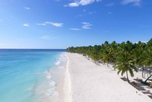 Punta Cana: Saona Island Full-Day with Buffet and Pickup