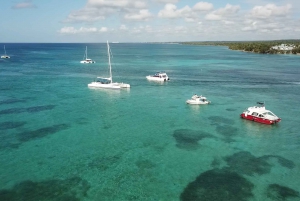 From Punta Cana: Day Tour to Saona Island with Buffet Lunch