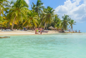 From Punta Cana: Day Tour to Saona Island with Buffet Lunch