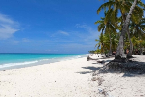 Full-Day Private Tour to Saona Island