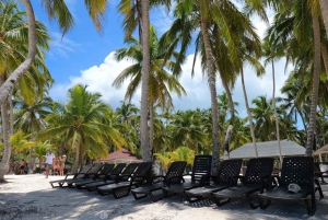 Full-Day Private Tour to Saona Island