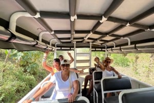 Full Day Safari Experience and Buggies from Punta Cana