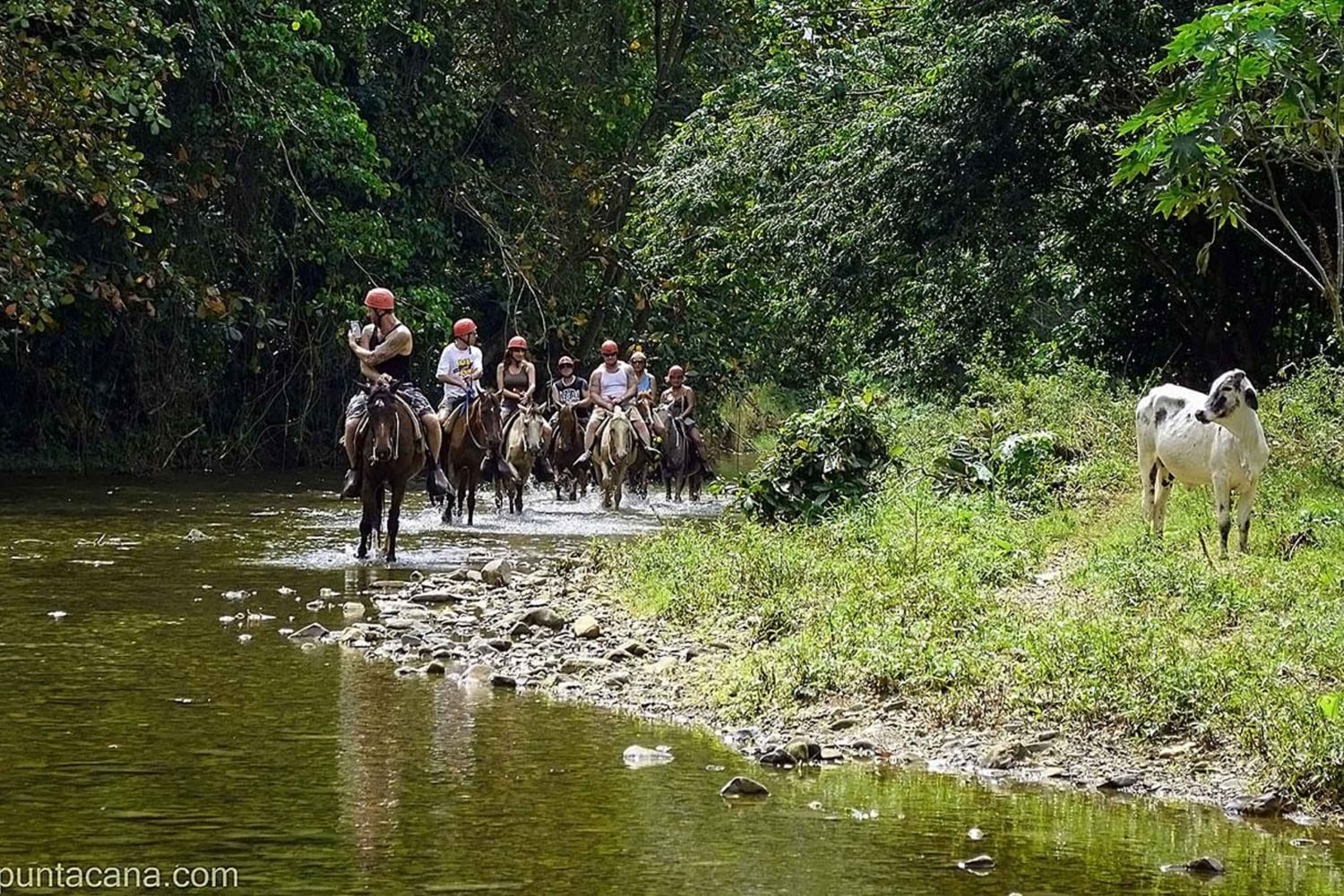 Całodniowe safari na świeżym powietrzu w Punta Cana