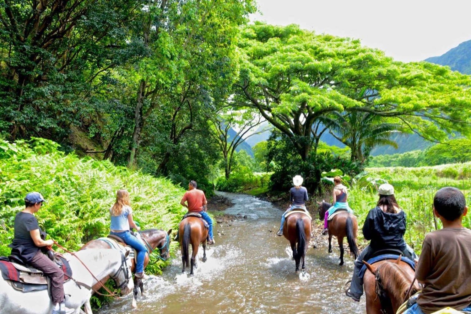 Całodniowe safari na świeżym powietrzu w Punta Cana