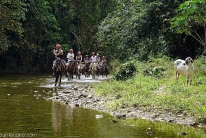 Całodniowe safari na świeżym powietrzu w Punta Cana