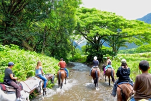 Całodniowe safari na świeżym powietrzu w Punta Cana