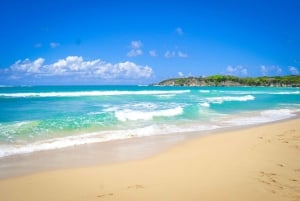 Całodniowe safari na świeżym powietrzu w Punta Cana