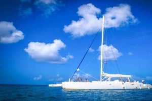 Full-Day Saona Island Excursion with Catamaran Party