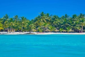 Full-Day Saona Island Excursion with Catamaran Party