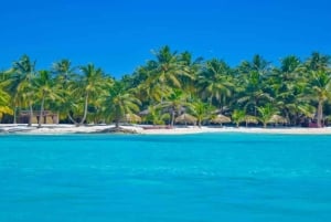 Full-Day Saona Island Excursion with Catamaran Party