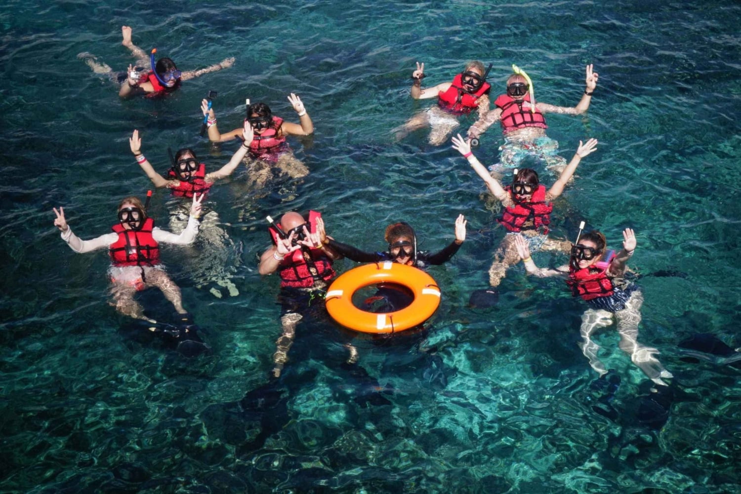 Excursão de 1 dia para mergulho com snorkel na Ilha Catalina