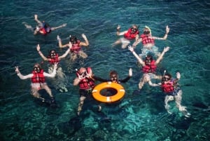 Excursão de 1 dia para mergulho com snorkel na Ilha Catalina