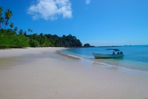 Excursão de 1 dia para mergulho com snorkel na Ilha Catalina