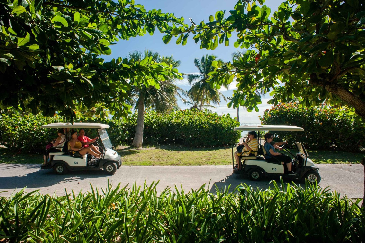 Tour ecologico in golf cart Tour di mezza giornata