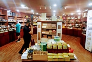 Guided Tour to Don Lucas Cigar Factory & Souvenirs Store