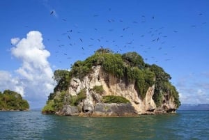 Haitises & Montaña Redonda: Nature's Beauty Tour