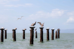 Haitises & Montaña Redonda: Nature's Beauty Tour
