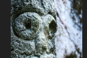 Haitises & Montaña Redonda: Nature's Beauty Tour