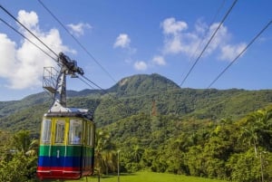 Tour de medio día por la cultura de la ciudad Especial para Cruceros