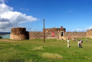 Tour de medio día por la cultura de la ciudad Especial para Cruceros