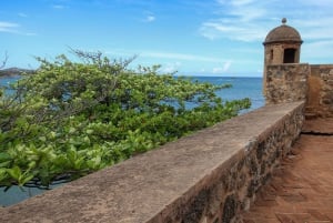 Tour de medio día por la cultura de la ciudad Especial para Cruceros