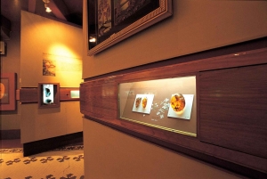 Half-Day Cultural Tour of the City of Puerto Plata