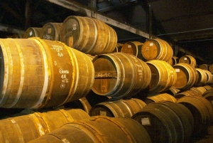 Half-Day Cultural Tour of the City of Puerto Plata