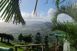 for Small Groups Half-Day Tour to Montaña Redonda