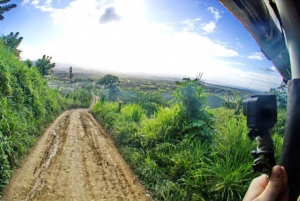 for Small Groups Half-Day Tour to Montaña Redonda