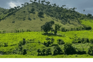Higuey discovery, coffee and cocoa tasting from punta cana