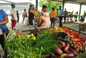 Higuey discovery, coffee and cocoa tasting from punta cana