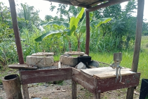 Higuey discovery, coffee and cocoa tasting from punta cana