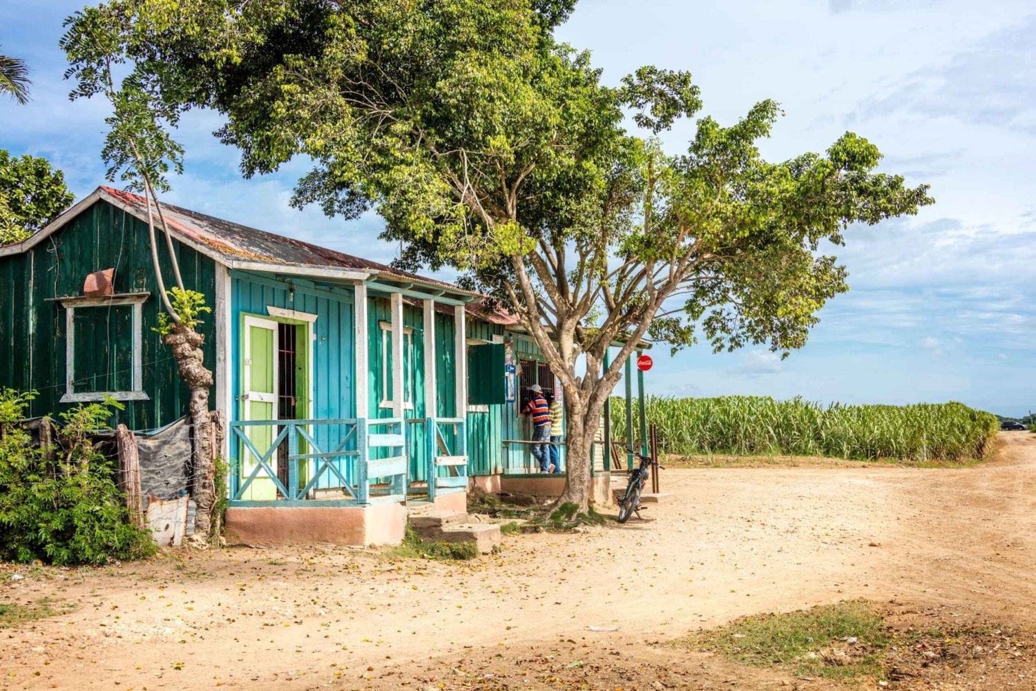 イグエイ : リバー ボート、ランチ、ブードゥー ショー付きの 1 日ツアー