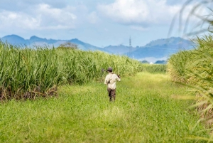 Higuey: Full-Day Tour with River Boat, Lunch, & Voodoo Show