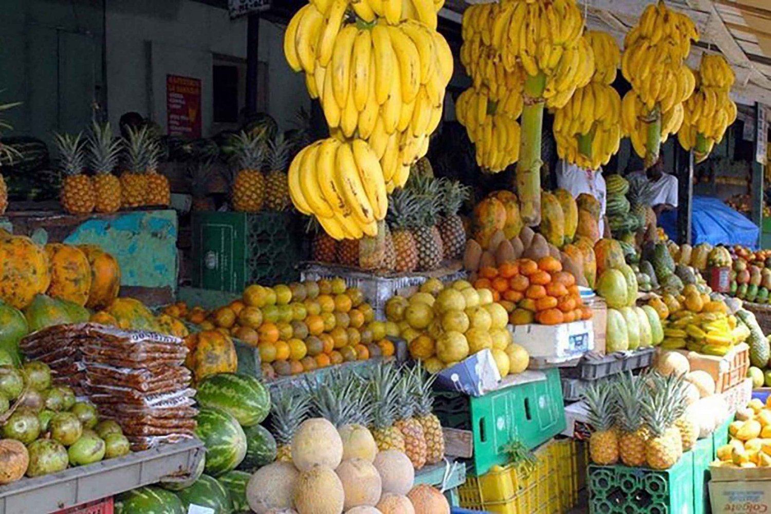 Higuey: Halbtägige Truck-Safari mit Mittagsbuffet